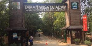 Menjelajahi Pesona Tempat Wisata untuk Libur Sekolah
